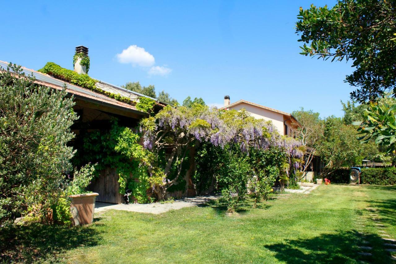 Agriturist Prile Villa Castiglione della Pescaia Eksteriør billede